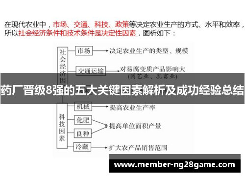 药厂晋级8强的五大关键因素解析及成功经验总结