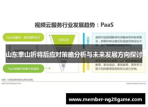 山东泰山折将后应对策略分析与未来发展方向探讨 山东泰山折将后应对策略分析与未来发展方向探讨