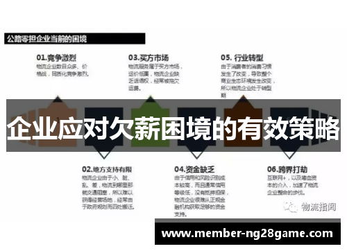 企业应对欠薪困境的有效策略